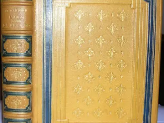 Xavier : Portrait d'un Bibliopégimane