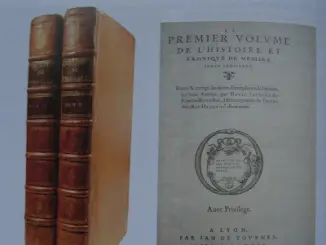 Lauverjatiana VIII