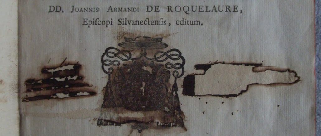 Images autour du livre XI: la Révolution, la chute des idoles, le caviardage des livres jusqu'à la loi sur la mutilation…