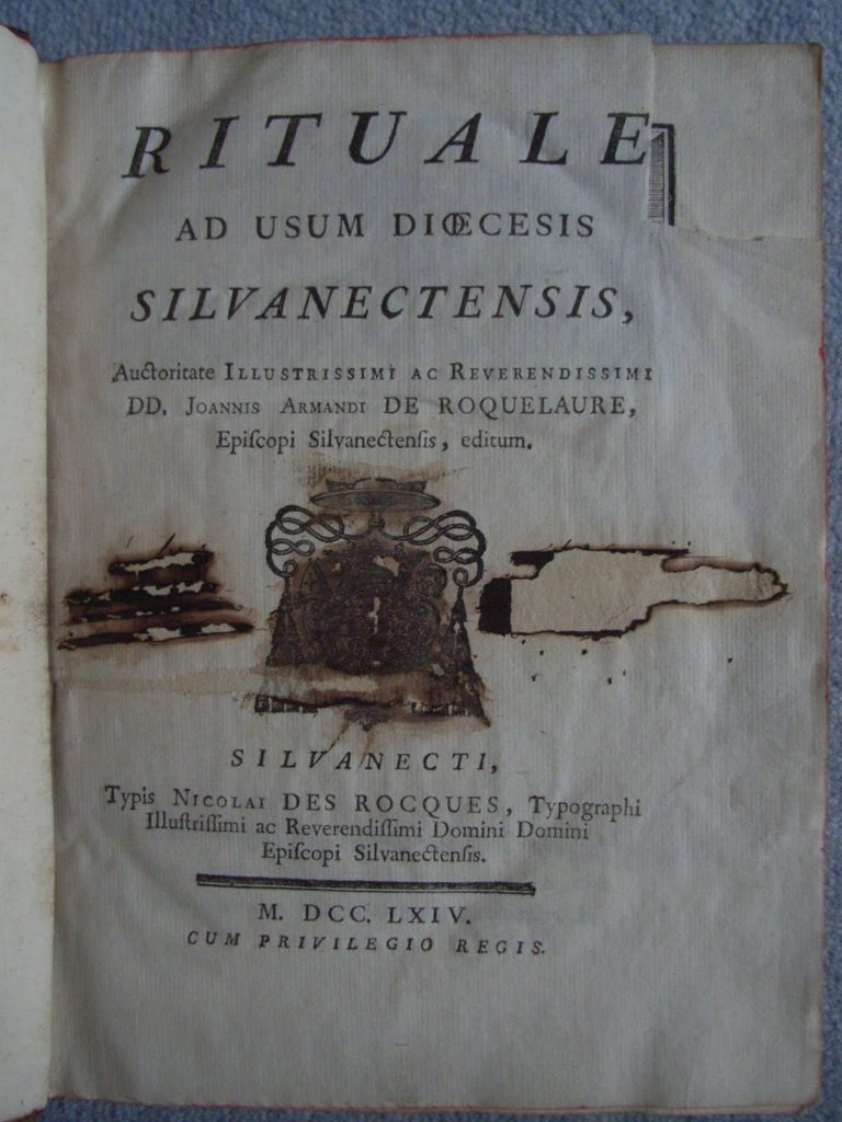 Images autour du livre XI: la Révolution, la chute des idoles, le caviardage des livres jusqu'à la loi sur la mutilation…