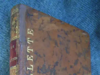 La vie tumultueuse du marquis de Villette, au travers d'un modeste achat au Grand Palais