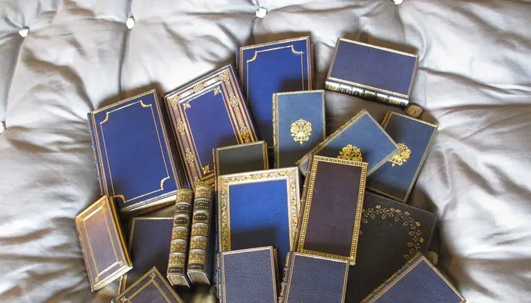 Miscellanées du Bibliophile: l'iris de Carlos Schwabe, bleus à l'âme, de la lecture et de la possession, brumes au Temps Retrouvé