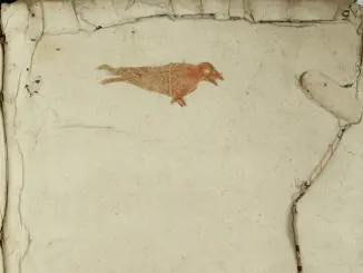 L'oiseau rouge, ou l'énigme de la Bibliothèque Carnegie de Reims