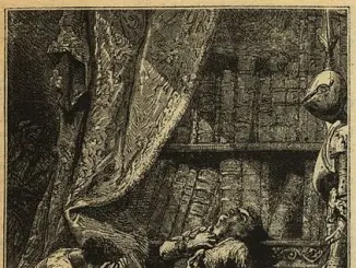 Petit conte de Noël: la bibliodépression ou la quasi fin du monde pour le Bibliophile