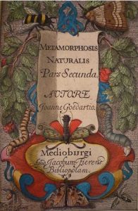 Ebayana et Bibliophilie, livres anciens en vente sur ebay: belles reliures, EO, livres à planches, éditions du 16ème au 20ème siècle