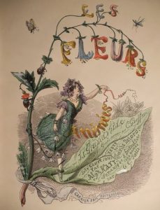 Ebayana et Bibliophilie, livres anciens en vente sur ebay: belles reliures, EO, livres à planches, éditions du 16ème au 20ème siècle