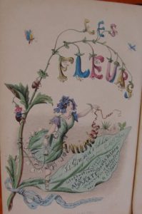 Ebayana et Bibliophilie, livres anciens en vente sur ebay: belles reliures, EO, livres à planches, éditions du 16ème au 20ème siècle et des curiosités
