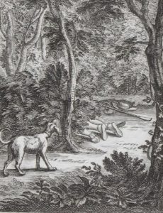 Ebayana et Bibliophilie, livres anciens en vente sur ebay: belles reliures, EO, livres à planches, éditions du 16ème au 20ème siècle et des curiosités