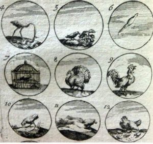 Ebayana et Bibliophilie, livres anciens en vente sur ebay: belles reliures, EO, livres à planches, éditions du 16ème au 20ème siècle et curiosités
