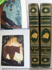 Ebayana et Bibliophilie, livres anciens en vente sur ebay: belles reliures, EO, livres à planches, éditions du 16ème au 20ème siècle et curiosités