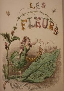 Ebayana et Bibliophilie, livres anciens en vente sur ebay: belles reliures, EO, livres à planches, éditions du 16ème au 20ème siècle et curiosités