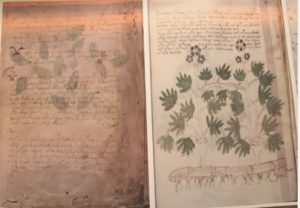 Ebayana et Bibliophilie, livres anciens en vente sur ebay: belles reliures, EO, livres à planches, éditions du 16ème au 20ème siècle et curiosités