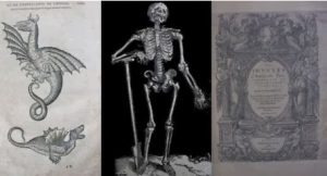 Ebayana et Bibliophilie, livres anciens en vente sur ebay: belles reliures, EO, livres à planches, éditions du 16ème au 20ème siècle et curiosités