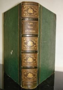 Ebayana et Bibliophilie, livres anciens en vente sur ebay: belles reliures, EO, livres à planches, éditions du 16ème au 20ème siècle et curiosités