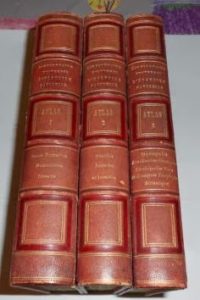 Ebayana et Bibliophilie, livres anciens en vente sur ebay: belles reliures, EO, livres à planches, éditions du 16ème au 20ème siècle et curiosités