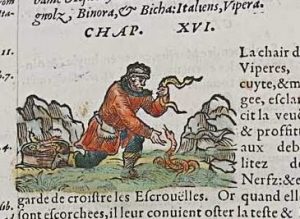 Ebayana et Bibliophilie, livres anciens en vente sur ebay: belles reliures, EO, livres à planches, éditions du 16ème au 20ème siècle et curiosités