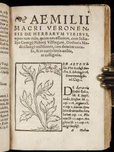 Ebayana et Bibliophilie, livres anciens en vente sur ebay: belles reliures, EO, livres à planches, éditions du 16ème au 20ème siècle et curiosités