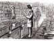 Conseils pratiques pour vendre des livres anciens au meilleur prix