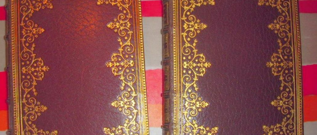 Ebayana et Bibliophilie, livres anciens en vente sur ebay: belles reliures, EO, livres à planches, éditions du 16ème au 20ème siècle et curiosités