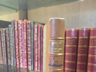 Une histoire inédite de Poe: scarabée d'or et reliure en peau humaine.