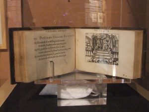 Daniel Stolz von Stolzenberg, Viridarium Chymicum, Francfort, 1624