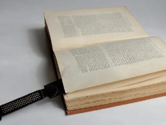 Le Bibliophile et le Coupe-papier