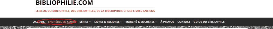 Le menu du site, avec « Enchères en cours » en doré juste après Accueil